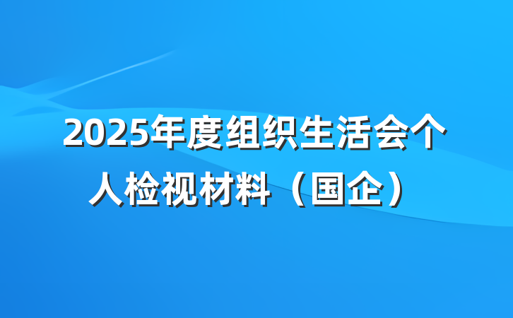 2025年度组织生活会个人检视材料（国企）