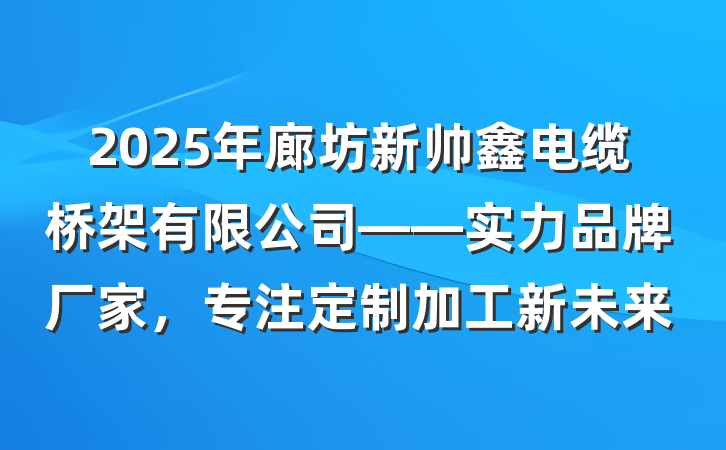 2025年廊坊新帅鑫电缆桥架有限公司——实力品牌厂家,专注定制加工新未来