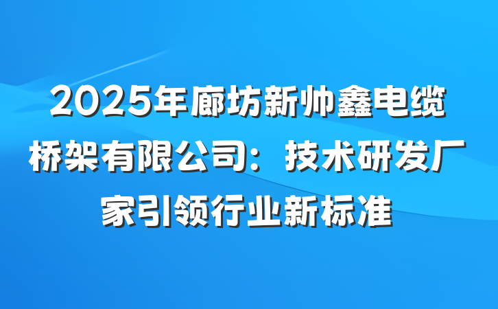 2025年廊坊新帅鑫电缆桥架有限公司：技术研发厂家引领行业新标准