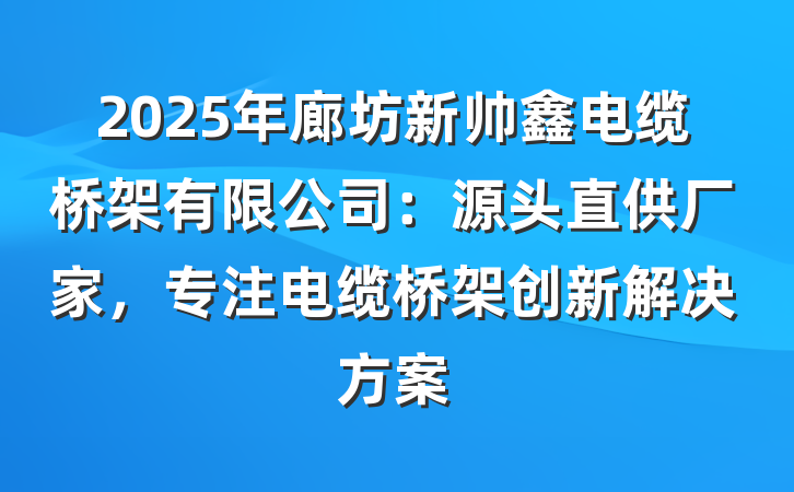 2025年廊坊新帅鑫电缆桥架有限公司:源头直供厂家,专注电缆桥架创新解决方案