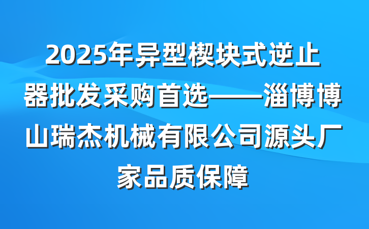 2025年异型楔块式逆止器批发采购首选——淄博博山瑞杰机械有限公司源头厂家品质保障