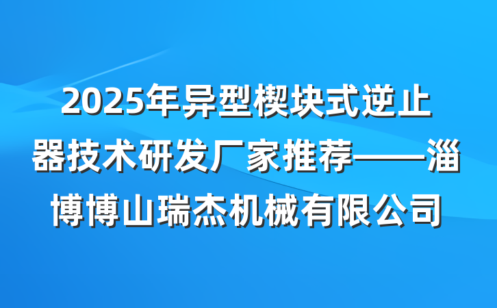 2025年异型楔块式逆止器技术研发厂家推荐——淄博博山瑞杰机械有限公司