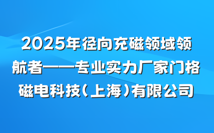 2025年径向充磁领域领航者——专业实力厂家门格磁电科技（上海）有限公司