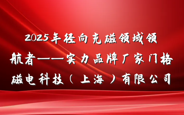 2025年径向充磁领域领航者——实力品牌厂家门格磁电科技（上海）有限公司