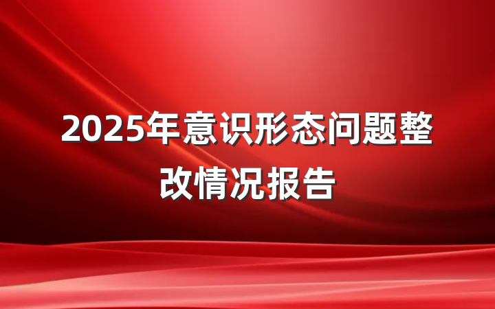 2025年意识形态问题整改情况报告