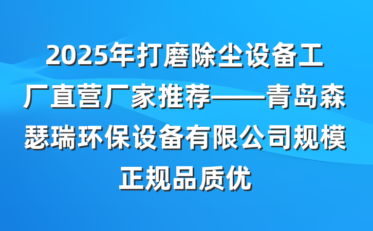 2025年打磨除尘设备工厂直营厂家推荐——青岛森瑟瑞环保设备有限公司规模正规品质优
