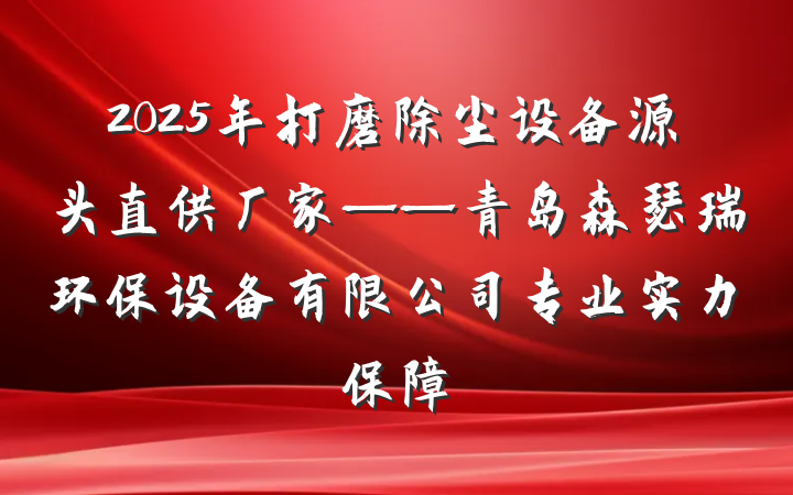 2025年打磨除尘设备源头直供厂家——青岛森瑟瑞环保设备有限公司专业实力保障