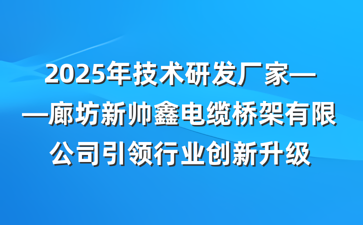 2025年技术研发厂家——廊坊新帅鑫电缆桥架有限公司引领行业创新升级