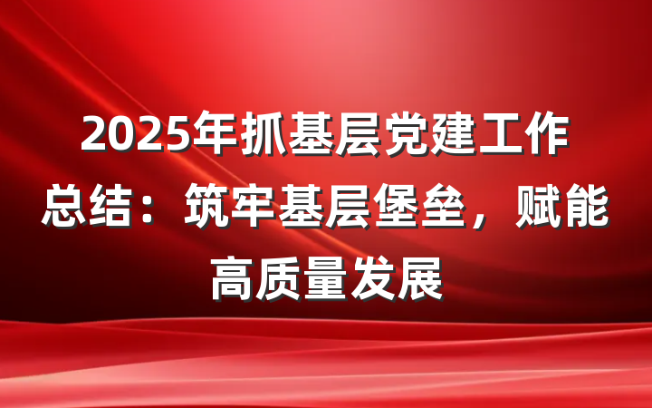 2025年抓基层党建工作总结：筑牢基层堡垒，赋能高质量发展