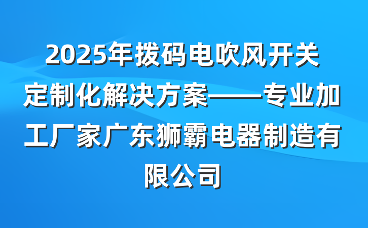 2025年拨码电吹风开关定制化解决方案——专业加工厂家广东狮霸电器制造有限公司