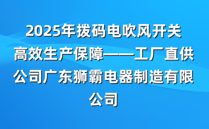 2025年拨码电吹风开关高效生产保障——工厂直供公司广东狮霸电器制造有限公司