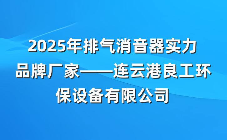 2025年排气消音器实力品牌厂家——连云港良工环保设备有限公司