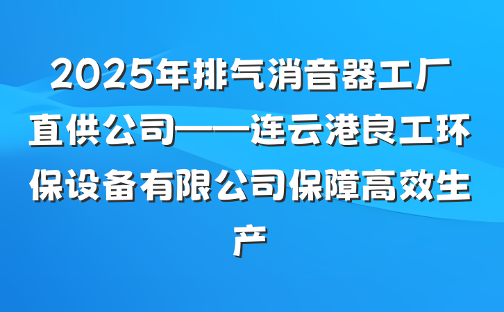 2025年排气消音器工厂直供公司——连云港良工环保设备有限公司保障高效生产