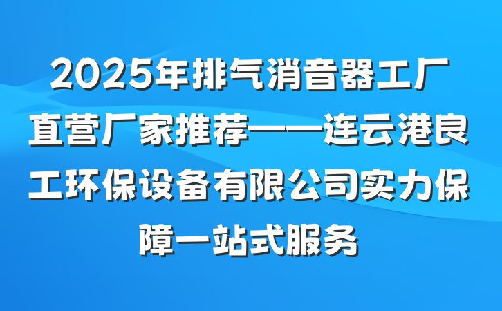 2025年排气消音器工厂直营厂家推荐——连云港良工环保设备有限公司实力保障一站式服务
