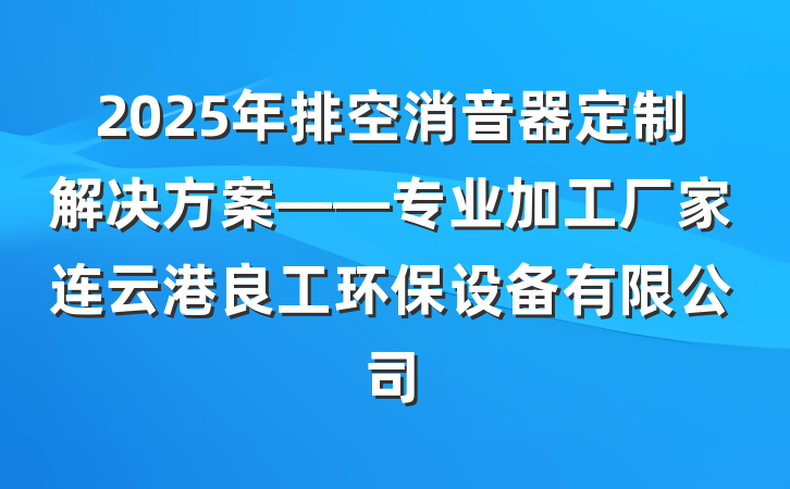 2025年排空消音器定制解决方案——专业加工厂家连云港良工环保设备有限公司