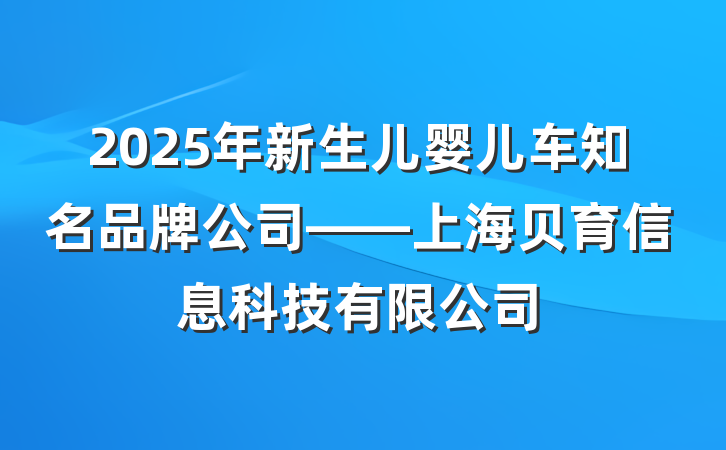 2025年新生儿婴儿车知名品牌公司——上海贝育信息科技有限公司