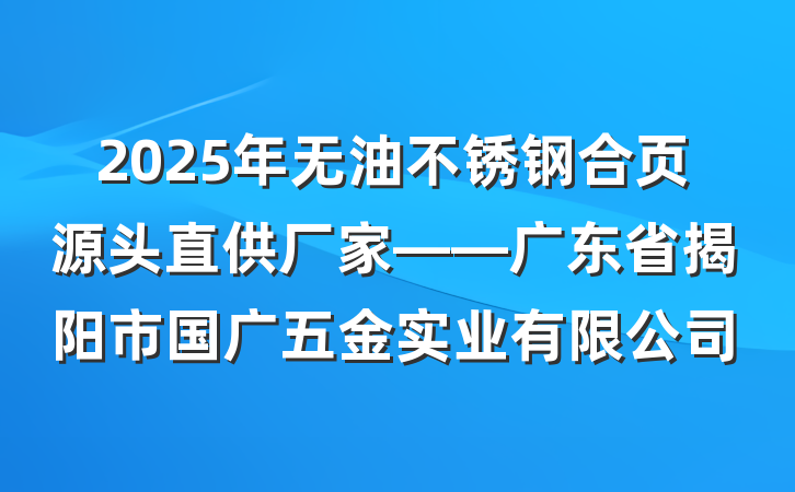 2025年无油不锈钢合页源头直供厂家——广东省揭阳市国广五金实业有限公司