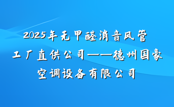 2025年无甲醛消音风管工厂直供公司——德州国豪空调设备有限公司