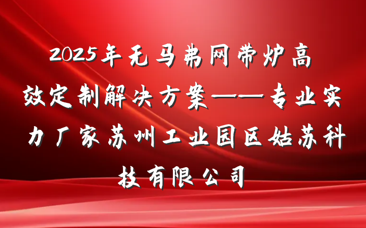 2025年无马弗网带炉高效定制解决方案——专业实力厂家苏州工业园区姑苏科技有限公司
