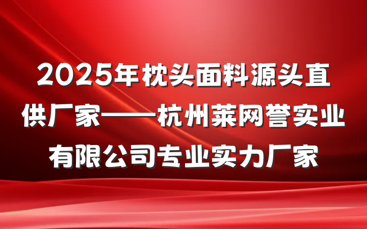 2025年枕头面料源头直供厂家——杭州莱网誉实业有限公司专业实力厂家