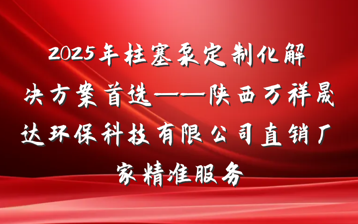 2025年柱塞泵定制化解决方案首选——陕西万祥晟达环保科技有限公司直销厂家精准服务