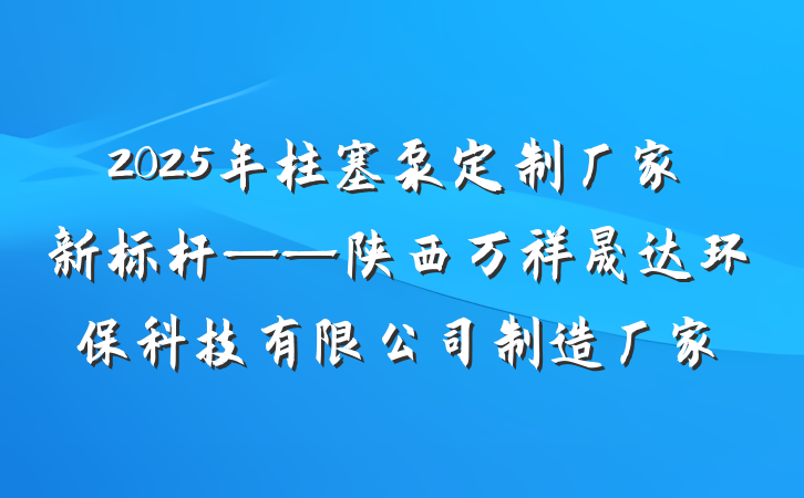 2025年柱塞泵定制厂家新标杆——陕西万祥晟达环保科技有限公司制造厂家