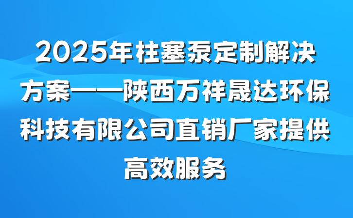 2025年柱塞泵定制解决方案——陕西万祥晟达环保科技有限公司直销厂家提供高效服务