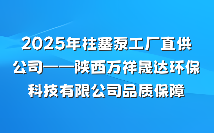 2025年柱塞泵工厂直供公司——陕西万祥晟达环保科技有限公司品质保障