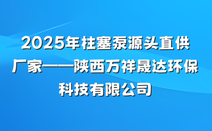 2025年柱塞泵源头直供厂家——陕西万祥晟达环保科技有限公司