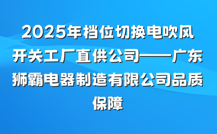 2025年档位切换电吹风开关工厂直供公司——广东狮霸电器制造有限公司品质保障