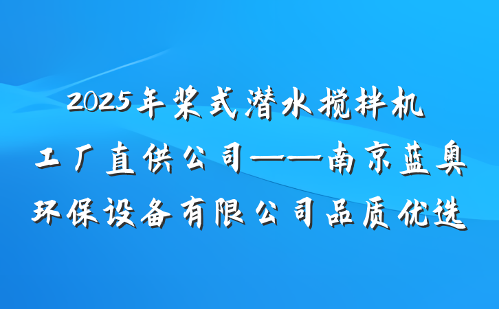2025年桨式潜水搅拌机工厂直供公司——南京蓝奥环保设备有限公司品质优选