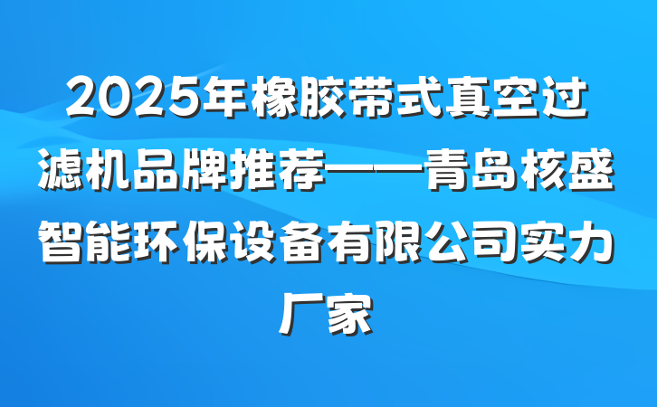 2025年橡胶带式真空过滤机品牌推荐——青岛核盛智能环保设备有限公司实力厂家
