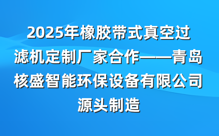 2025年橡胶带式真空过滤机定制厂家合作——青岛核盛智能环保设备有限公司源头制造