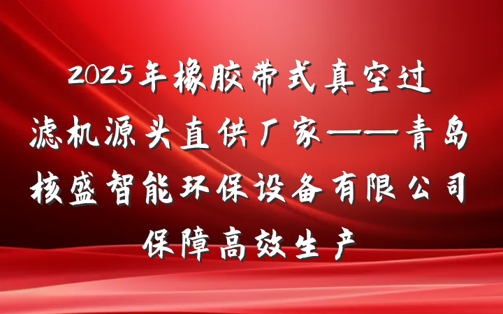 2025年橡胶带式真空过滤机源头直供厂家——青岛核盛智能环保设备有限公司保障高效生产