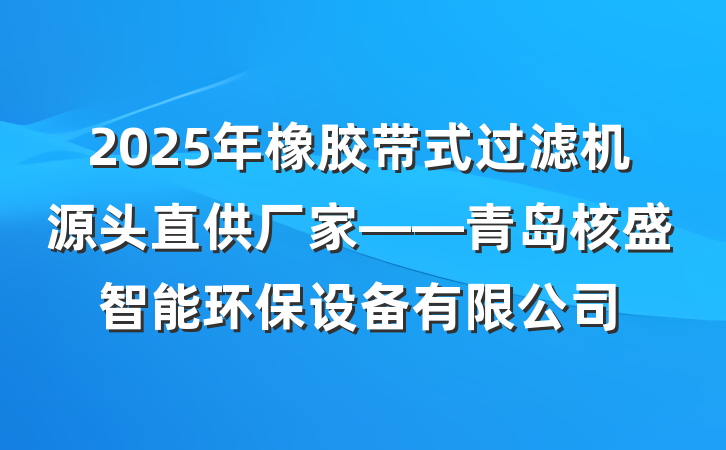 2025年橡胶带式过滤机源头直供厂家——青岛核盛智能环保设备有限公司