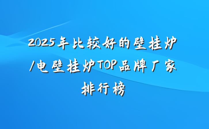 2025年比较好的壁挂炉/电壁挂炉TOP品牌厂家排行榜