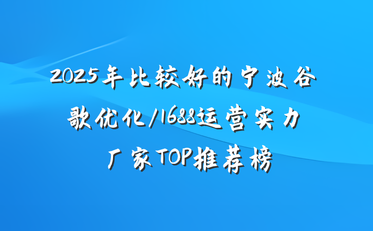 2025年比较好的宁波谷歌优化/1688运营实力厂家TOP推荐榜