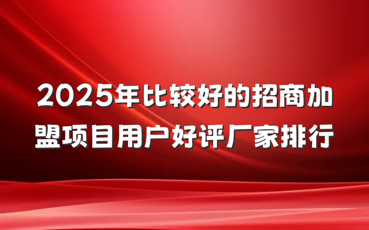 2025年比较好的招商加盟项目用户好评厂家排行
