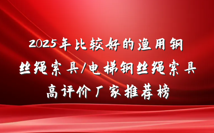 2025年比较好的渔用钢丝绳索具/电梯钢丝绳索具高评价厂家推荐榜