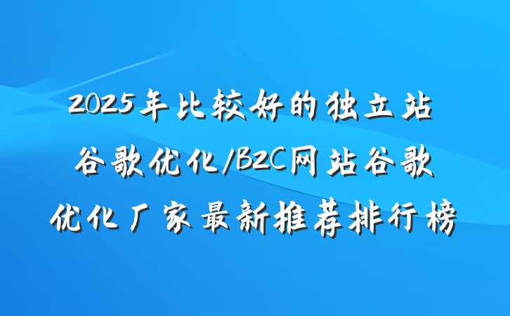 2025年比较好的独立站谷歌优化/B2C网站谷歌优化厂家最新推荐排行榜