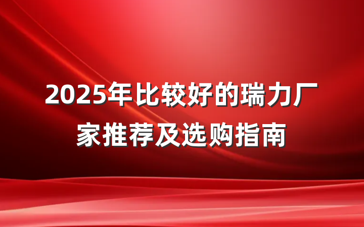 2025年比较好的瑞力厂家推荐及选购指南