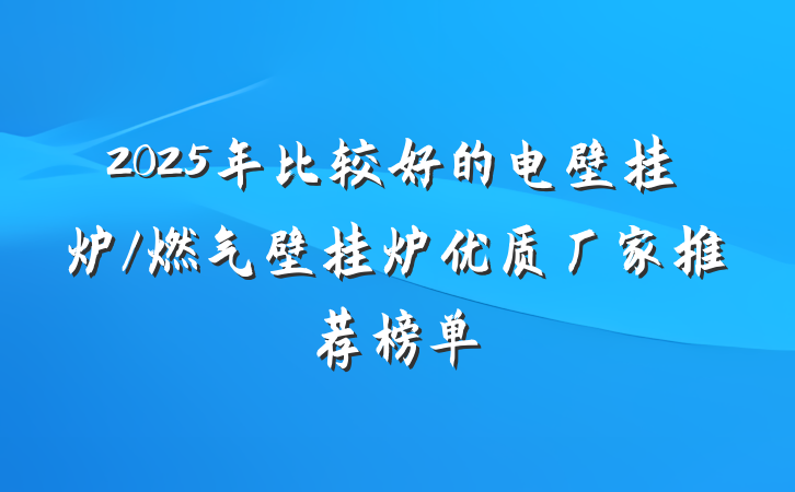 2025年比较好的电壁挂炉/燃气壁挂炉优质厂家推荐榜单