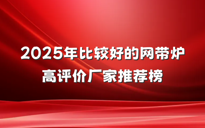2025年比较好的网带炉高评价厂家推荐榜