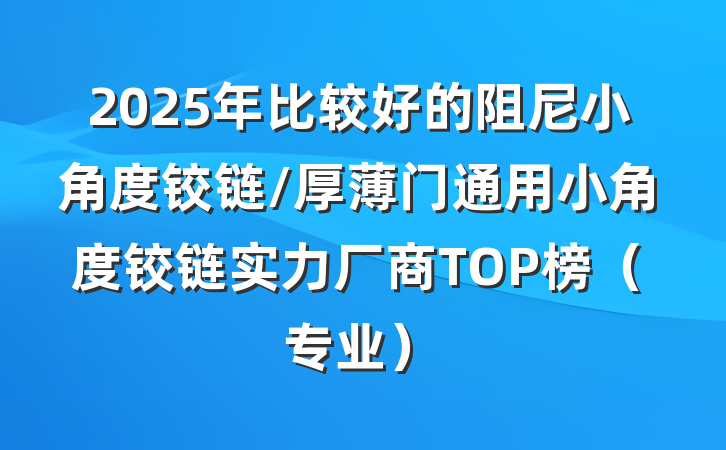 2025年比较好的阻尼小角度铰链/厚薄门通用小角度铰链实力厂商TOP榜（专业）