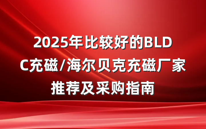 2025年比较好的BLDC充磁/海尔贝克充磁厂家推荐及采购指南