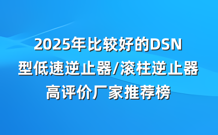2025年比较好的DSN型低速逆止器/滚柱逆止器高评价厂家推荐榜