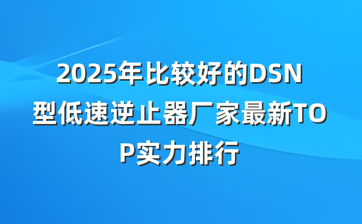 2025年比较好的DSN型低速逆止器厂家最新TOP实力排行