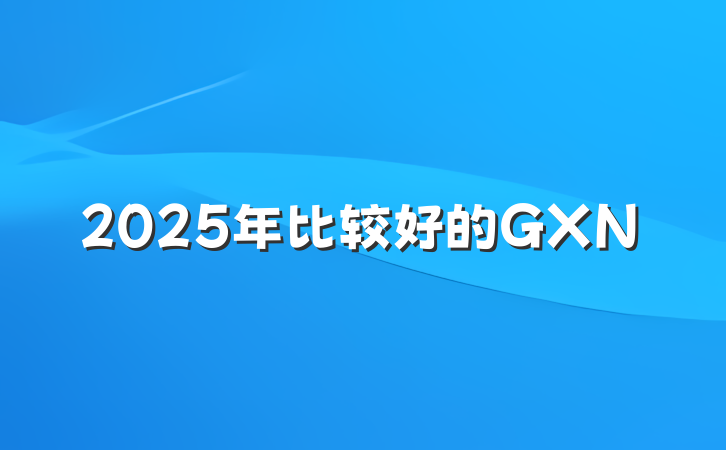 2025年比较好的GXN
