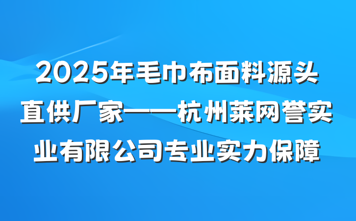 2025年毛巾布面料源头直供厂家——杭州莱网誉实业有限公司专业实力保障