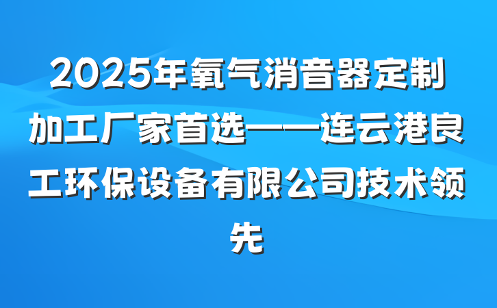 2025年氧气消音器定制加工厂家首选——连云港良工环保设备有限公司技术领先